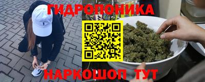 крисы Волжск